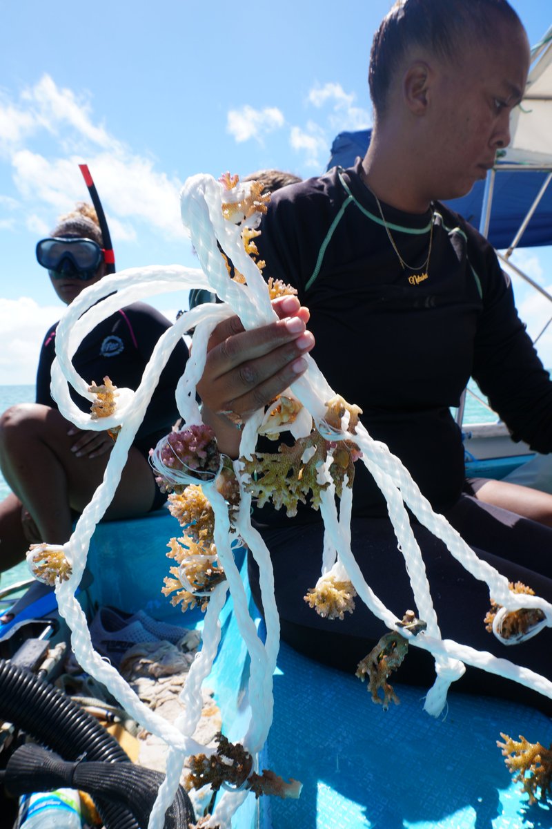 Adaptation Fund tweet media