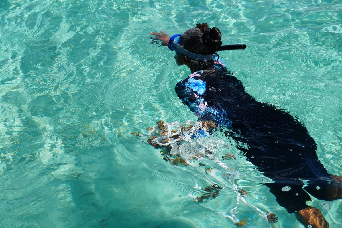 Adaptation Fund tweet media