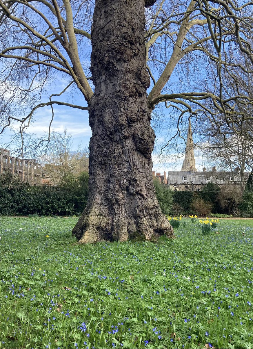 Sandy De Born tweet media