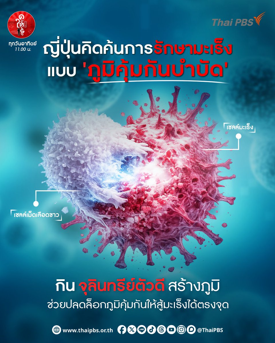 ThaiPBS's tweet photo. ญี่ปุ่นคิดค้นการรักษามะเร็งแบบ "ภูมิคุ้มกันบำบัด" 💪 🔬
อาวุธสำคัญในการต่อสู้กับเซลล์มะเร็งอย่างแม่นยำ เจาะลึกนวัตกรรมทางการแพทย์ที่อาศัยหลักการกระตุ้นเซลล์ภูมิคุ้มกันให้กลับมาทำงานได้อย่างมีประสิทธิภาพมากยิ่งขึ้น จนกลายเป็นอีกหนึ่งทางเลือกสำคัญในการรักษา แม้ในผู้ป่วยมะเร็งระยะลุกลาม

📱 มาดูให้รู้ ตอน “รักษามะเร็งด้วยภูมิคุ้มกันของตัวเอง” พร้อมกันได้ที่ 👉 https://t.co/A7HzUeyiMg

#ภูมิคุ้มกันบำบัด #ICIs #รักษามะเร็ง #ญี่ปุ่นน่ารู้ #ดูให้รู้