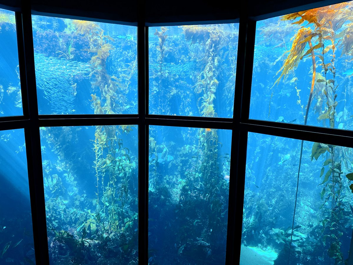 Just Josh tweet media