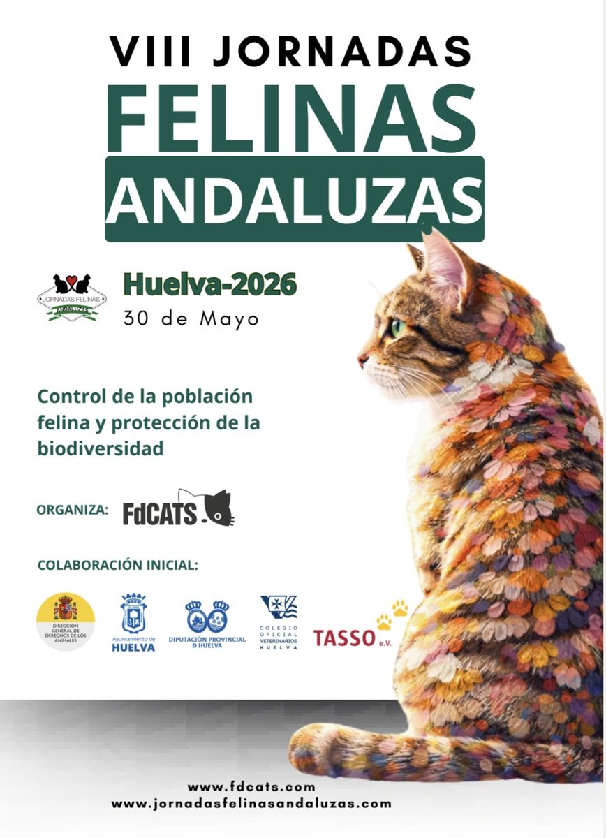 catadicta's tweet image. 📅 El 30 de mayo hablaremos de #gatos #CER Gestión de la población feeina y #biodiversidad en #Huelva 
¡ Nos vemos en las #JFA26! 😺 jornadasfelinasandaluzas.com
