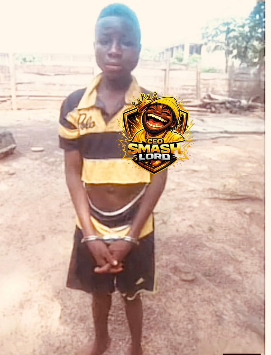 THE STATE NEWS tweet media