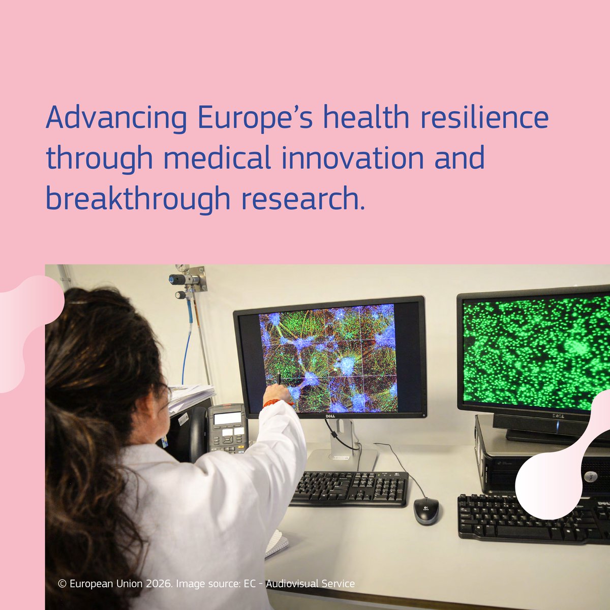 AFRODITA European Doctoral Network tweet media