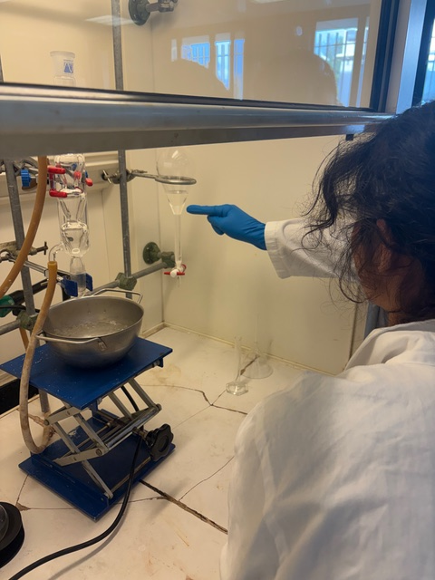 Lycée Schuman Perret tweet media