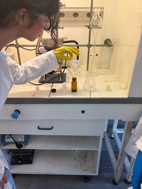 Lycée Schuman Perret tweet media