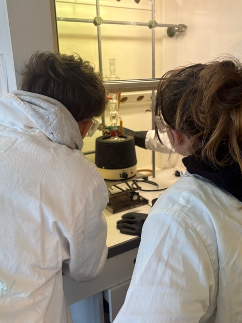 Lycée Schuman Perret tweet media