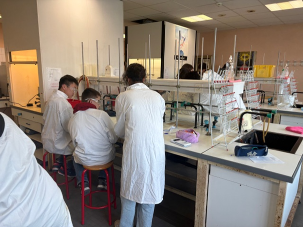 Lycée Schuman Perret tweet media