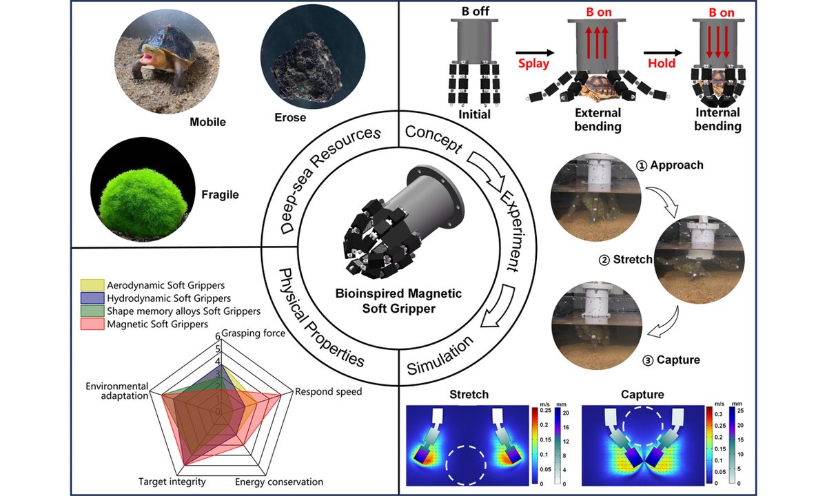 Soft Science tweet media