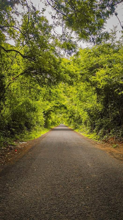 Rajahmundry Forever tweet media