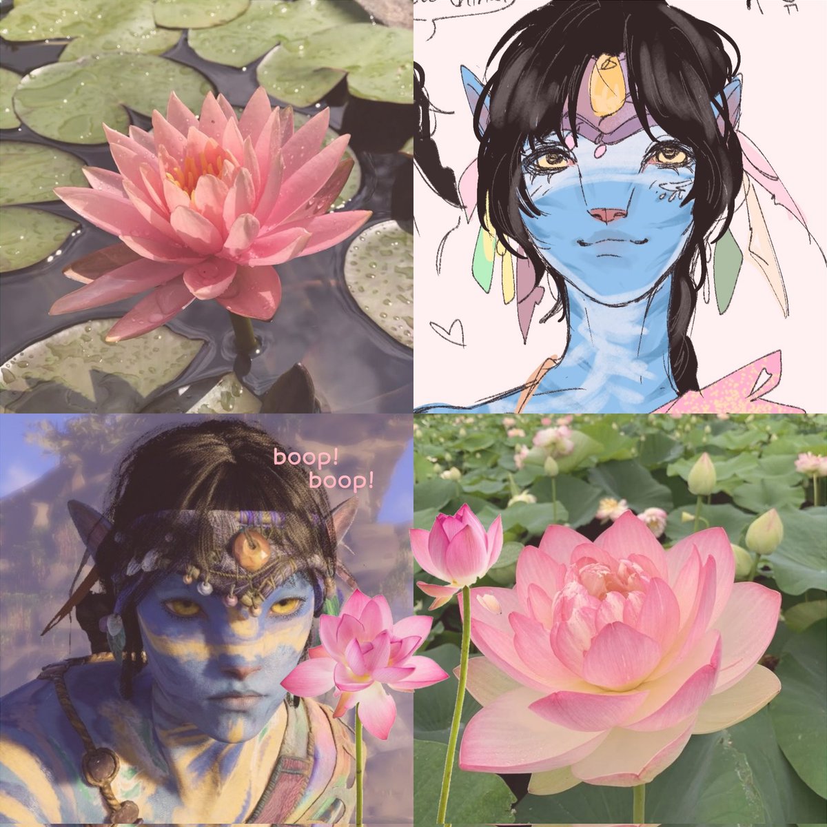 solekpilled's tweet photo. my tamtey as a flower ... 🪷♡ https://t.co/zMOjJonPA7