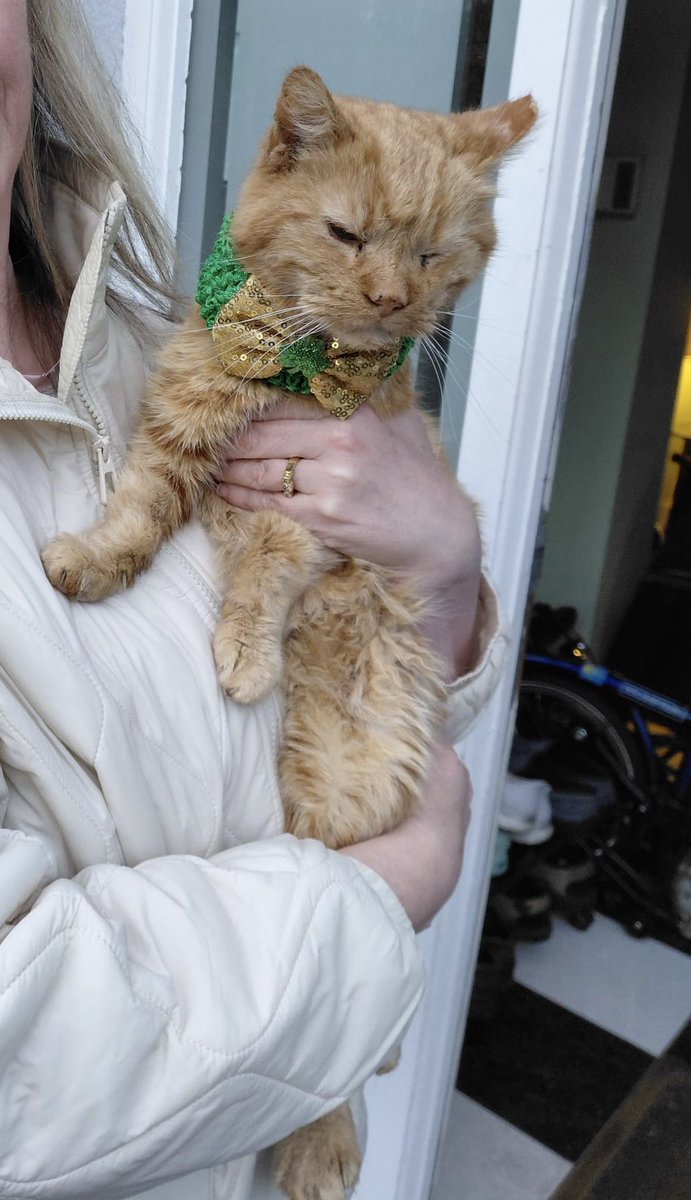 Aunt Scwagers 🌈 Bridie 🌈Blackie🌈Kitten and Fred tweet media