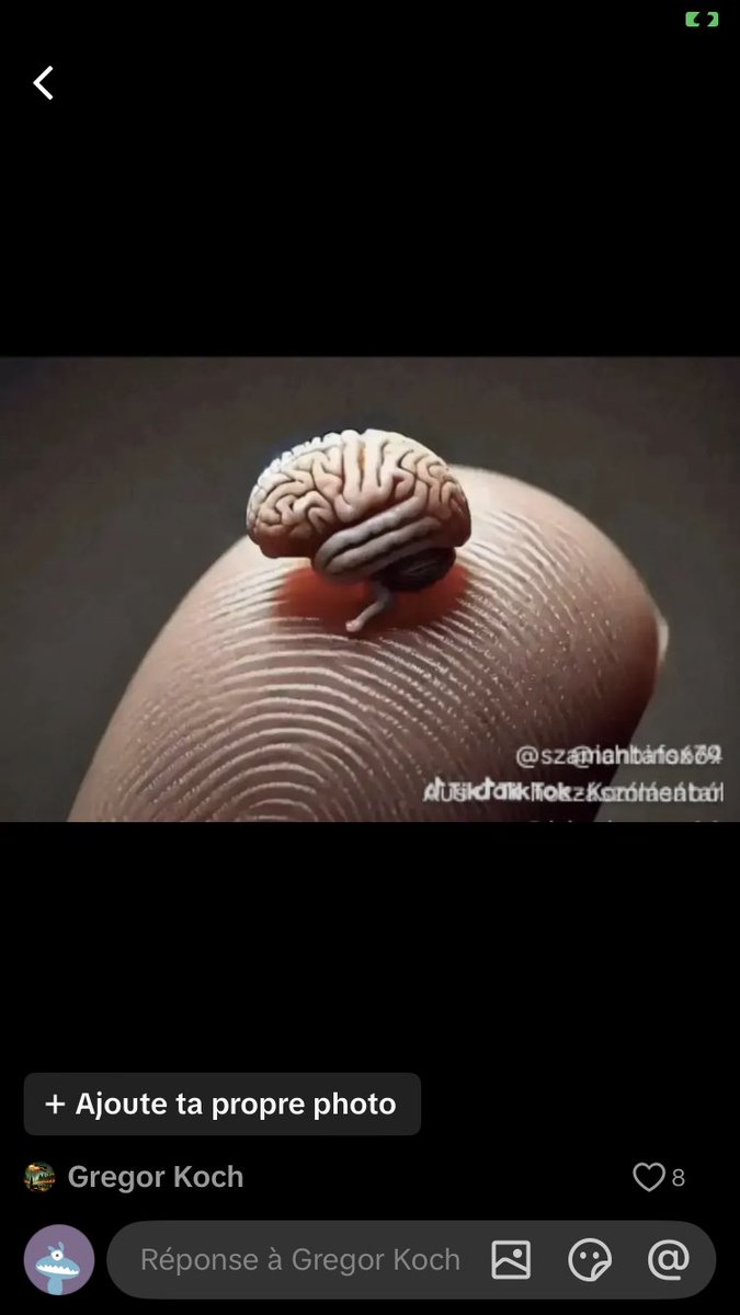 Ronnie LELIEVRE tweet media