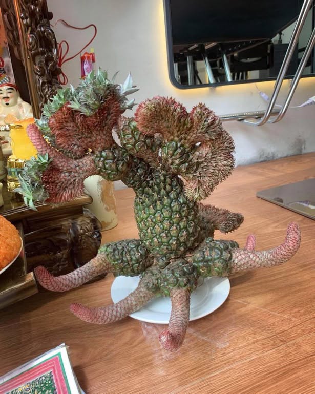 setsunano_mttk's tweet photo. 🟣まるで別の惑星の植物のような、異常成長を
     引き起こしたパイナップル(綴化）
     パイナップルは本来、多数の花が集まって
     1つの果実になる『集合果』であるが異常が
     起きると個々の単位がバラバラに増殖し
     立体的に暴走するため、このような
     クリーチャーのような形となる。

     source by RillingStone         

     #雑学 #フォローしてくれたら嬉しいです