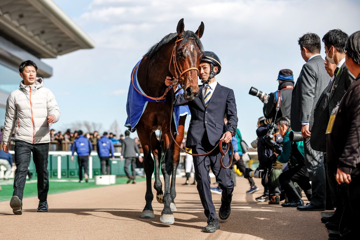 ドバイから日本馬3頭が中東情勢悪化で無事帰国