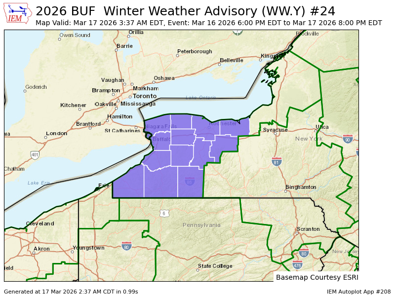 Autumn Lewandowski tweet media