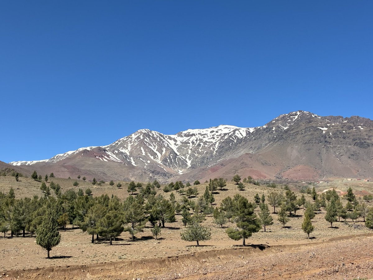 Alan Davies tweet media