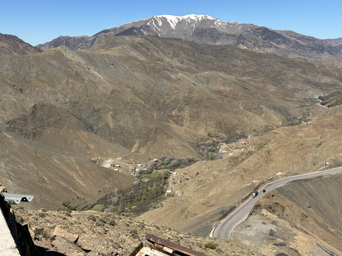 Alan Davies tweet media