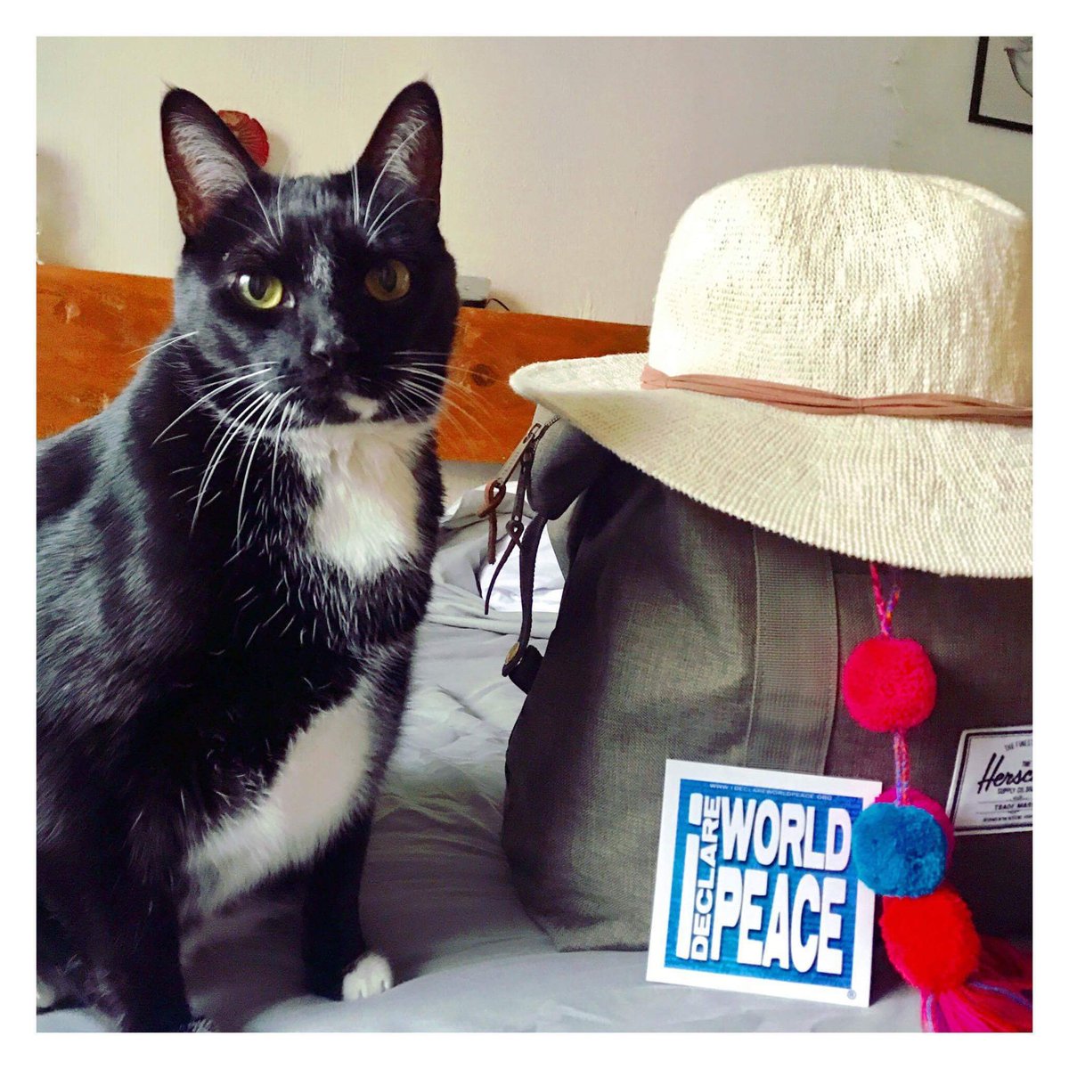 World Peace tweet media