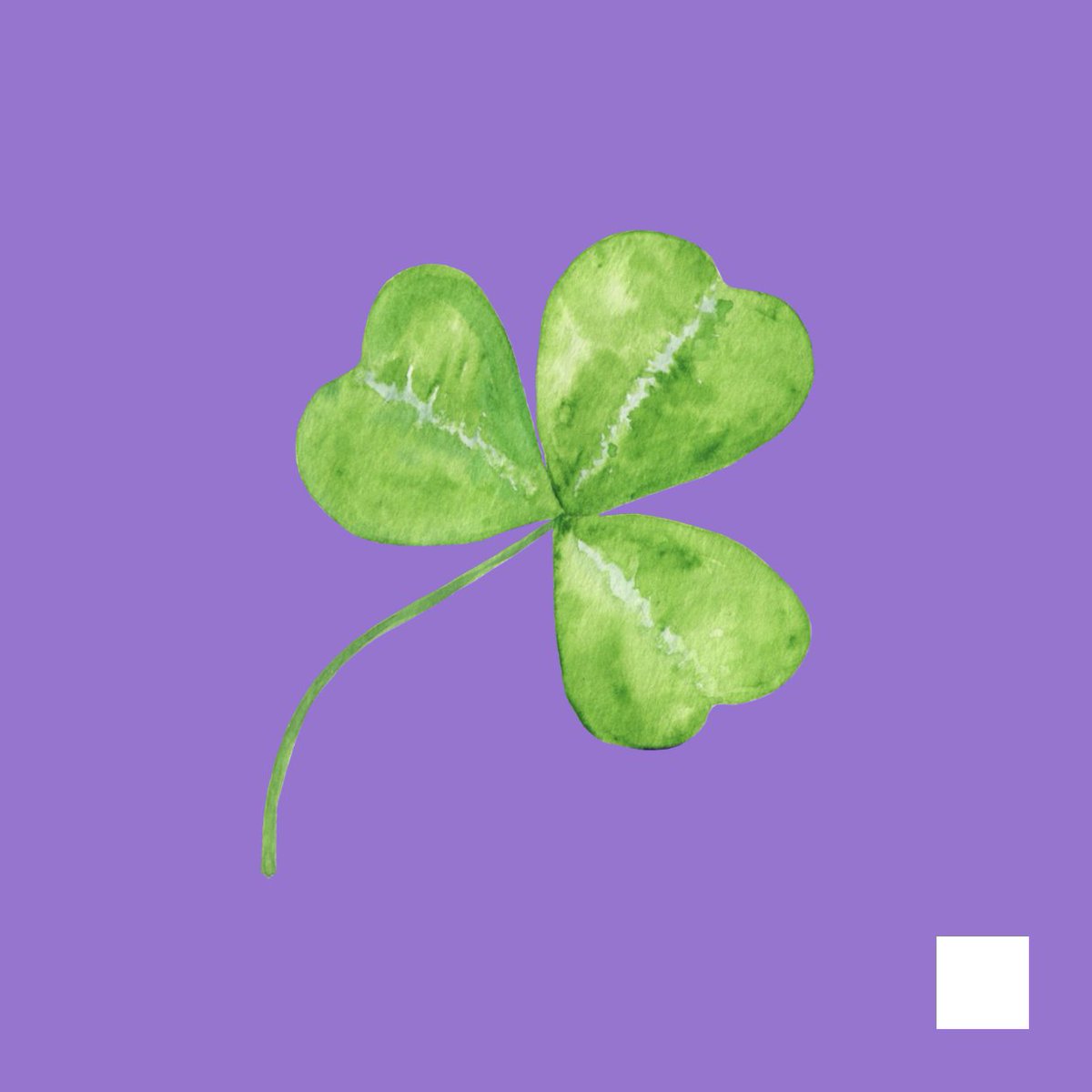 SubmitHub tweet media