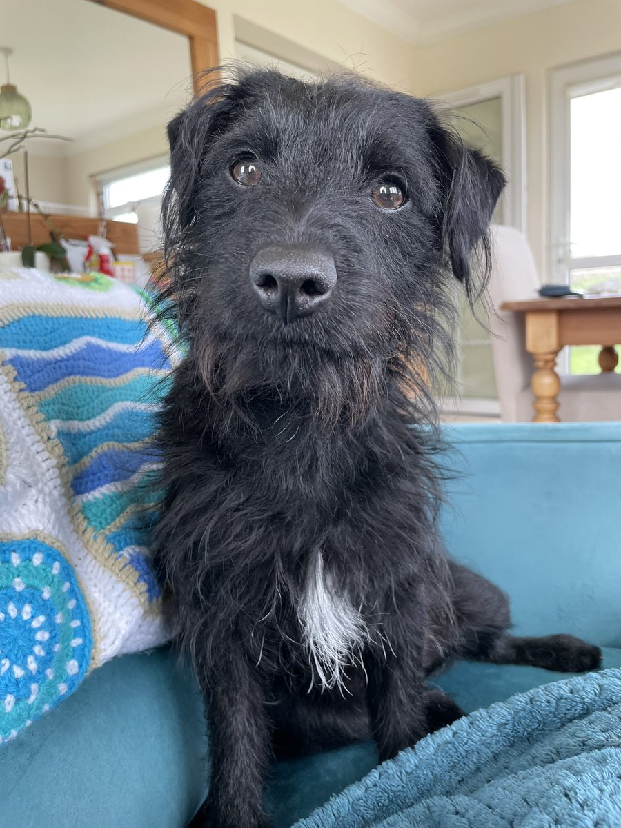 Adele and Rex (former staff to Monty🌈& Jilly🌈) tweet media