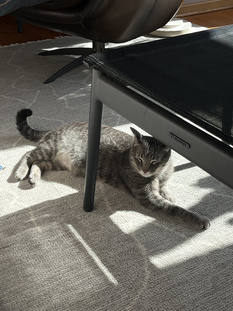 BeakerBird tweet media