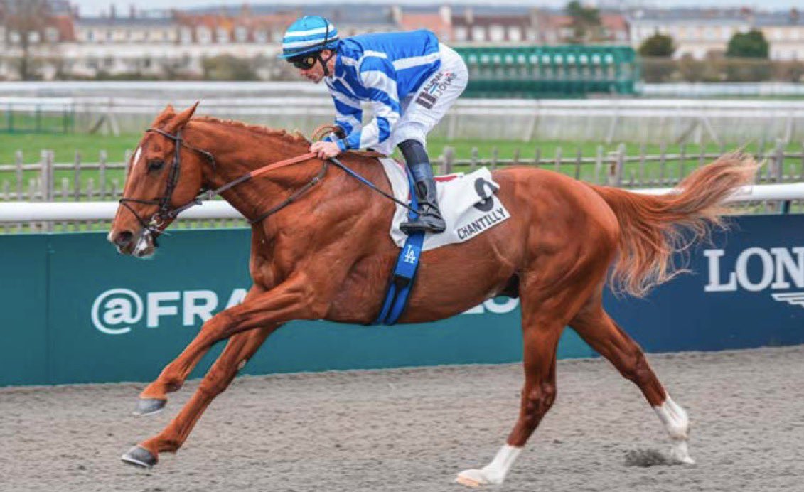 Yeguada Centurión FAN tweet media