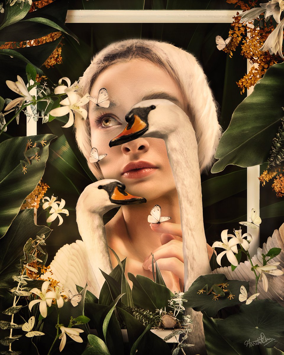 Harshit Dave tweet media