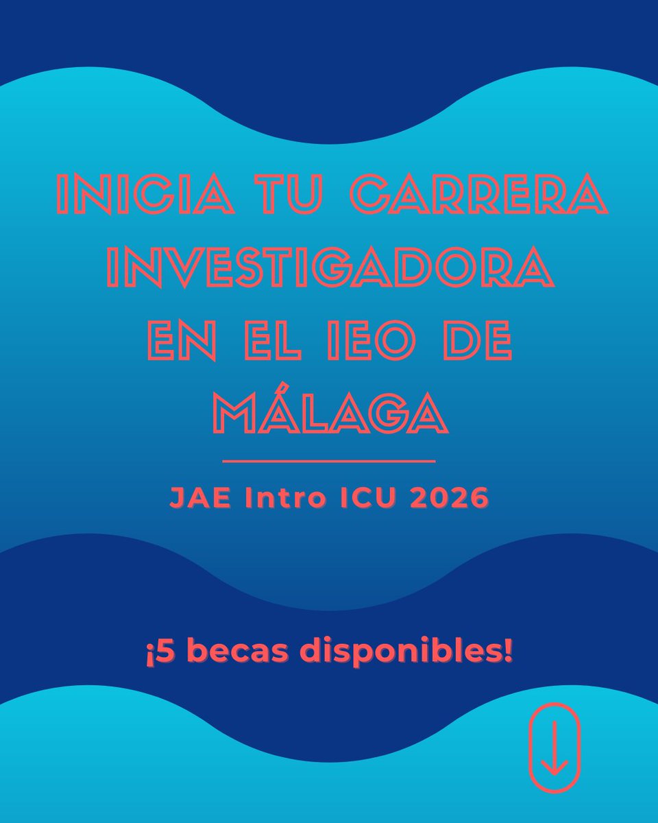 IEO Málaga 🌊⛴️🐟🌡️🔬 tweet media