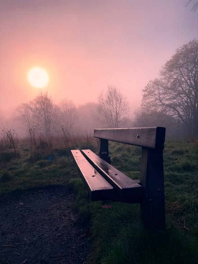 DavyTolmie tweet media