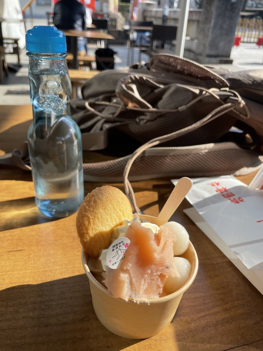 雛咲望月🌙🍥🎀片麻痺LARPer &ファンタジーキャンパー📯M.Hinasaki tweet media