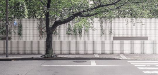 권태 (@wikigim) on Twitter photo 