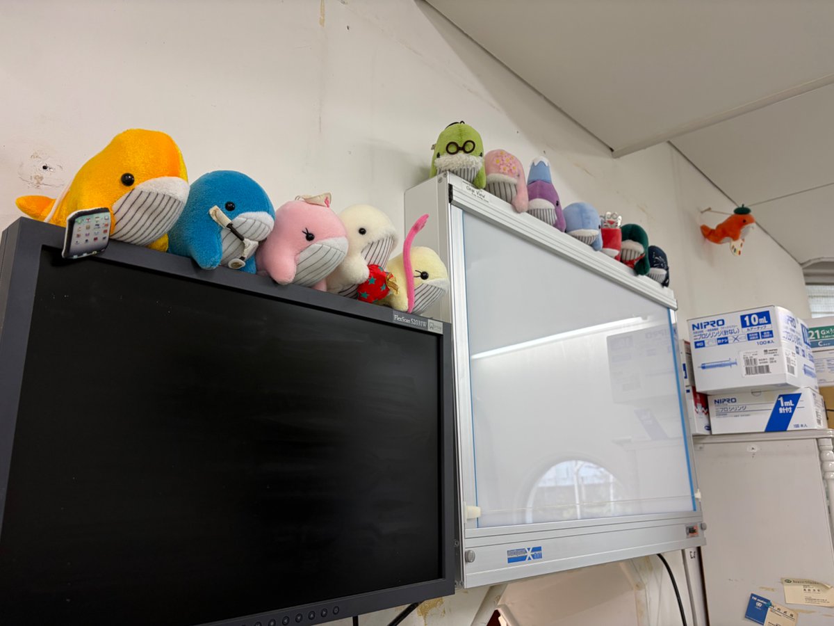 みーる tweet media