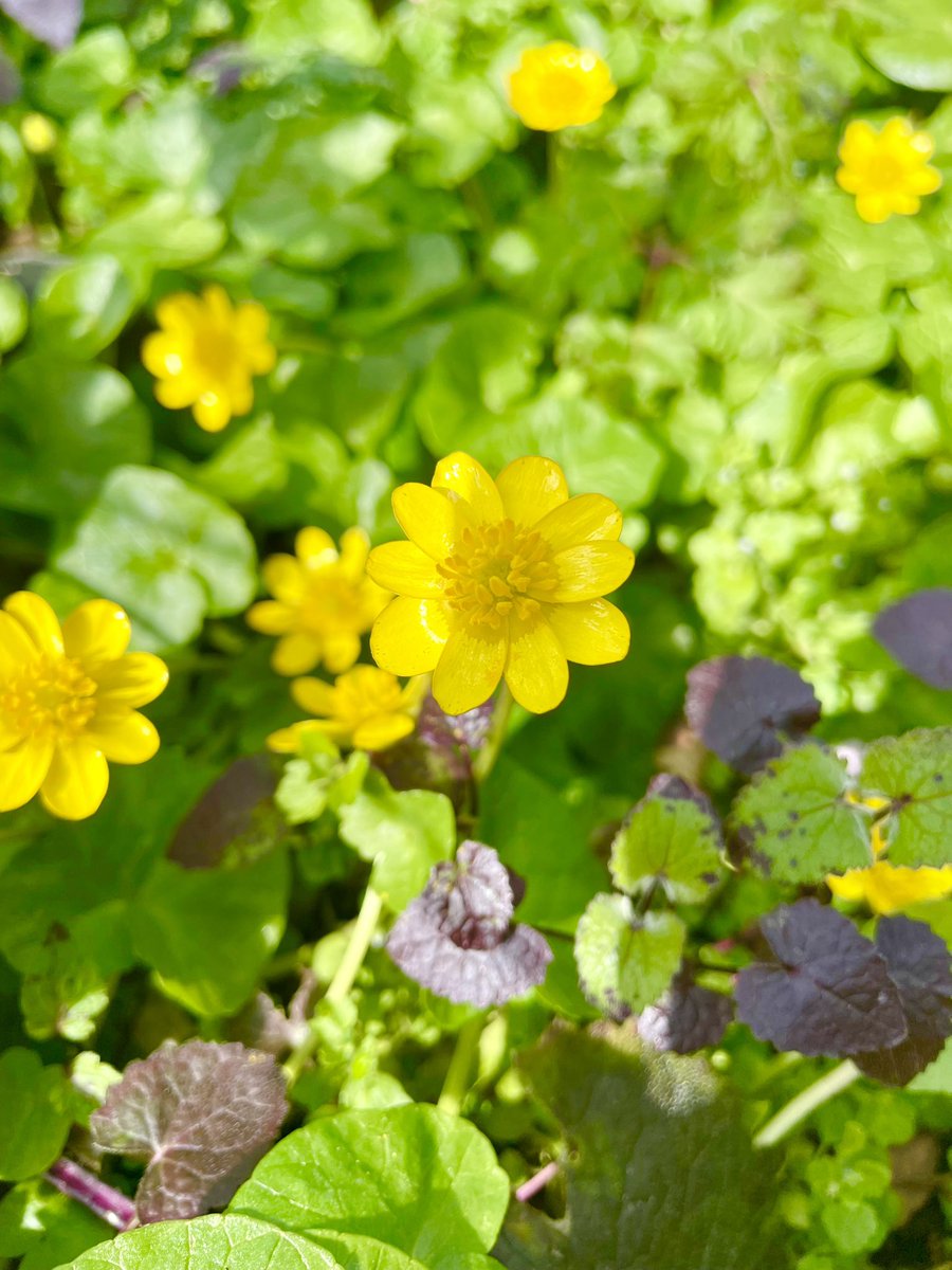 Stifyn Parri 🌈 tweet media