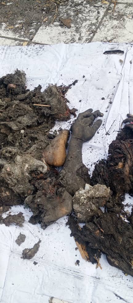 Wazhma Ayoubi 🇦🇫 tweet media