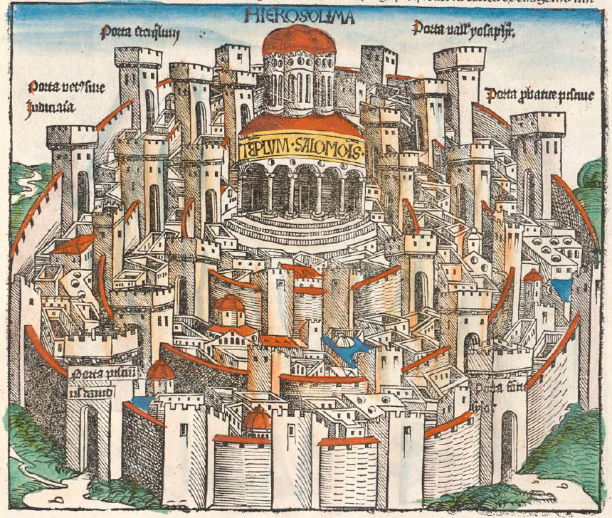 Antoni Gelonch tweet media