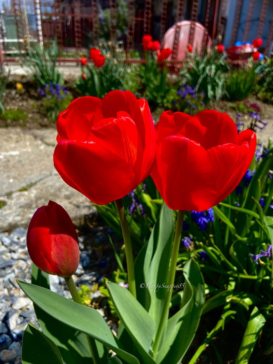 Diana 🦋 tweet media