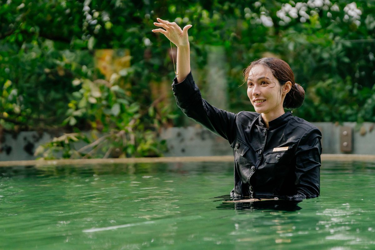 TingThinkThing tweet media