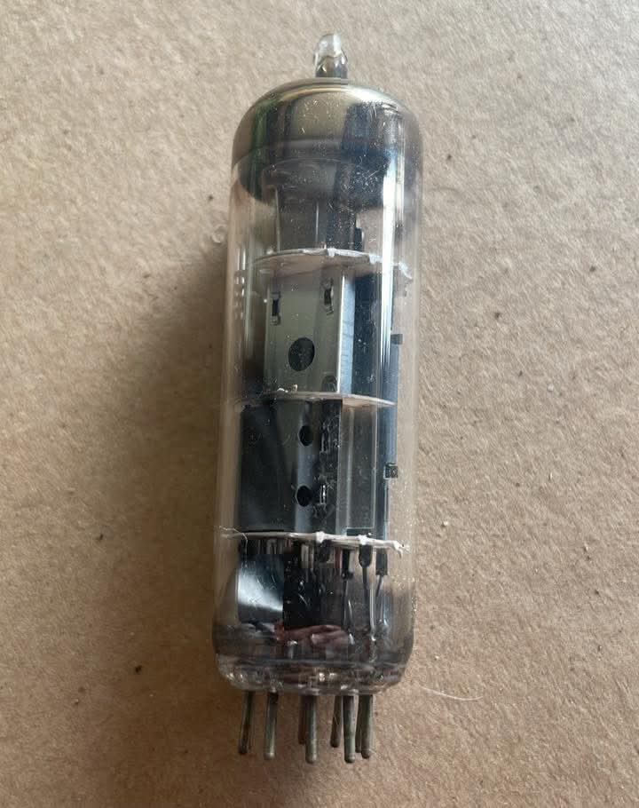 Elizabeth❣️ tweet media