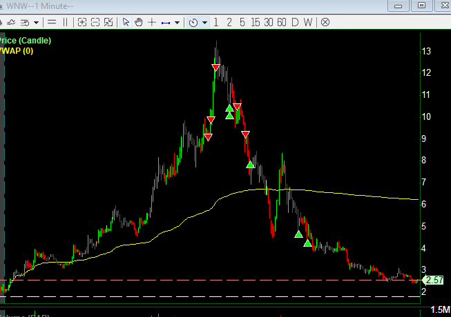 DiligentBear tweet media