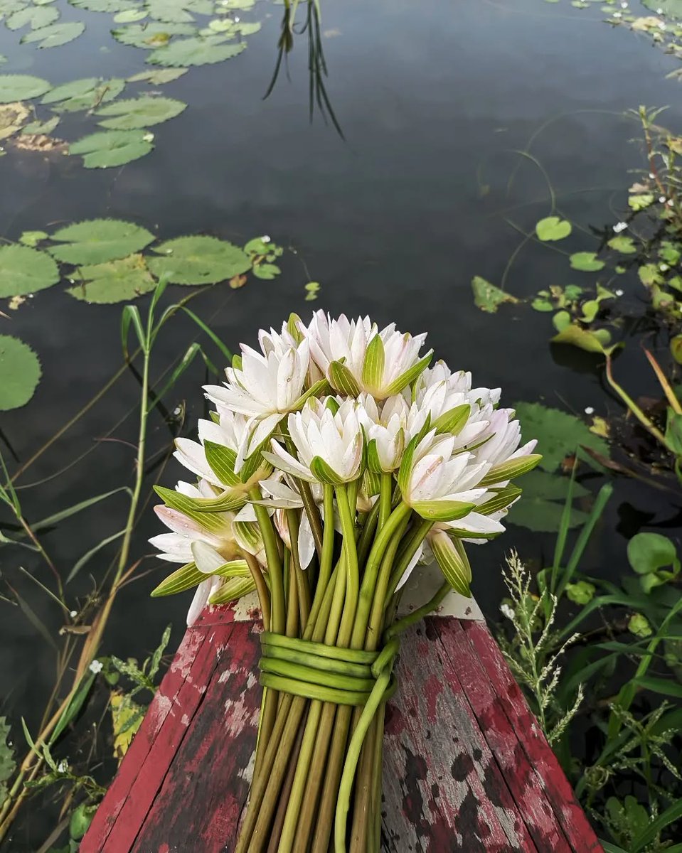 নিজের জন্য বাঁচুন। নিজেকে ভালোবাসুন। কারণ চোখের সামনে যা দেখছেন, তা সব স্বার্থ আর প্রয়োজন।