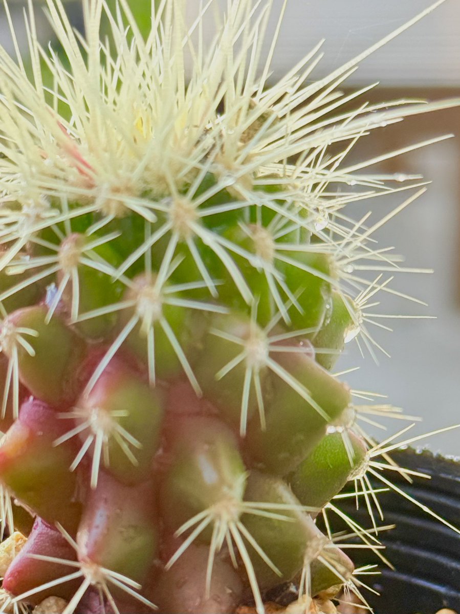 お外で冬超えした　キミは偉い👏