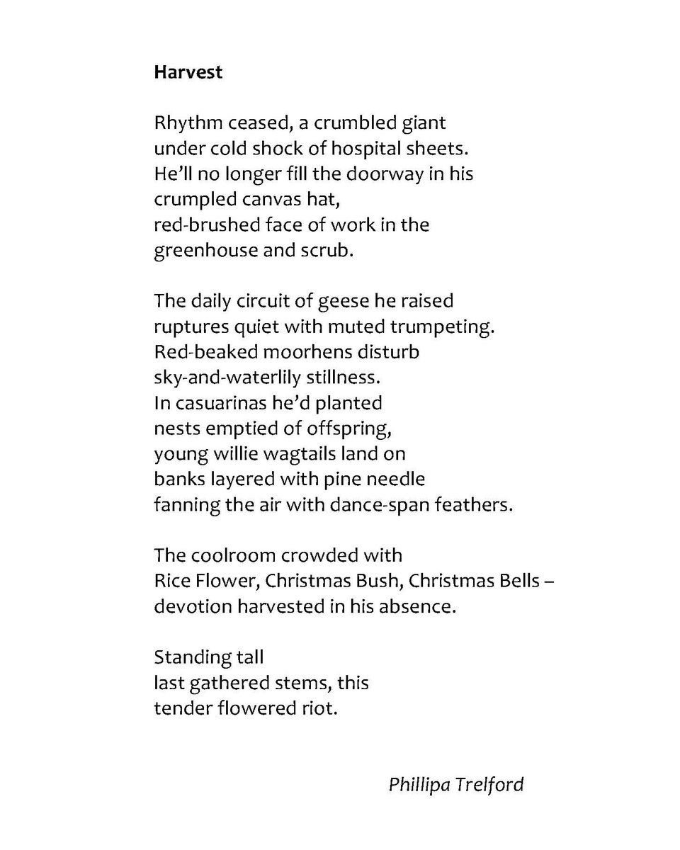 Phillipa Trelford tweet media