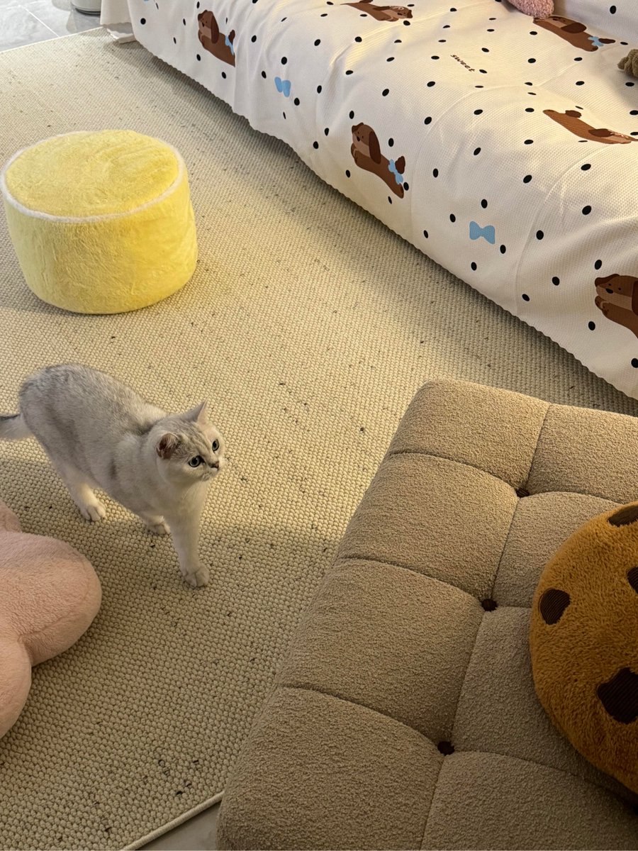 👁 - Assistant🇨🇦 tweet media