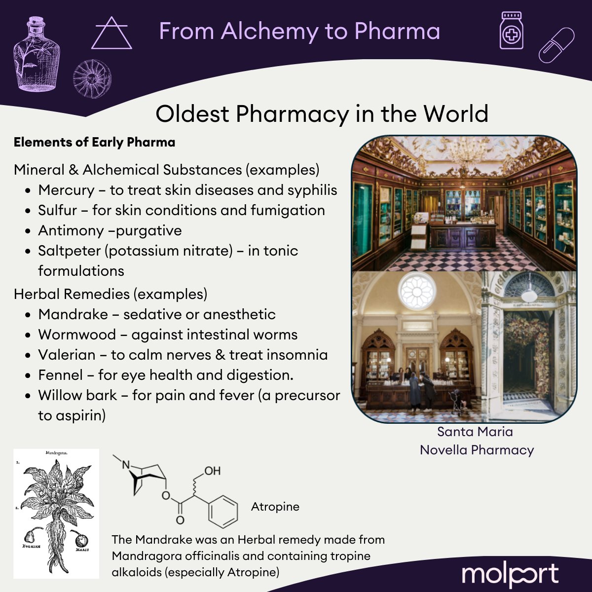 MolPort's tweet photo. From alchemy to pharma ⚗️➡️💊
We’re kicking off a 15+ article series on the origins of drug discovery. This is article #1.
👉 https://t.co/GTb7VIX26N
#DrugDiscovery #PharmaHistory https://t.co/uItKNHwObD