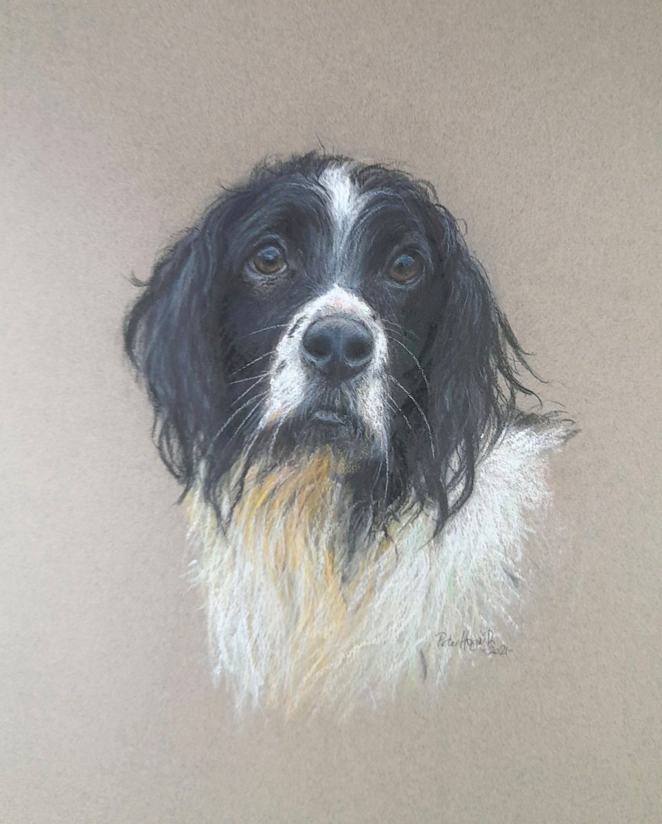 Peter Hogarth - Artist tweet media