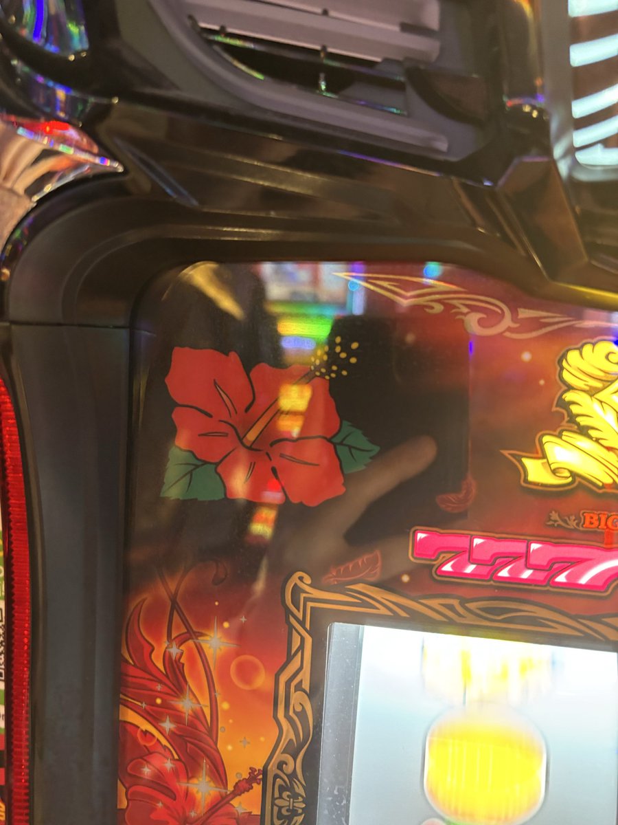 沈黙のハイビスカス tweet media