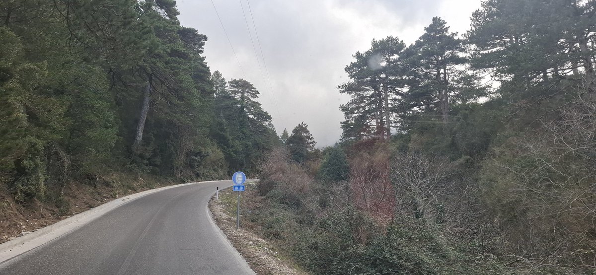 GREENOFFICE2020's tweet photo. #llogara #vlora #albania https://t.co/Gp3IcI65dG