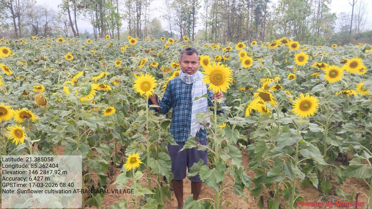 ST & SC Development Department tweet media