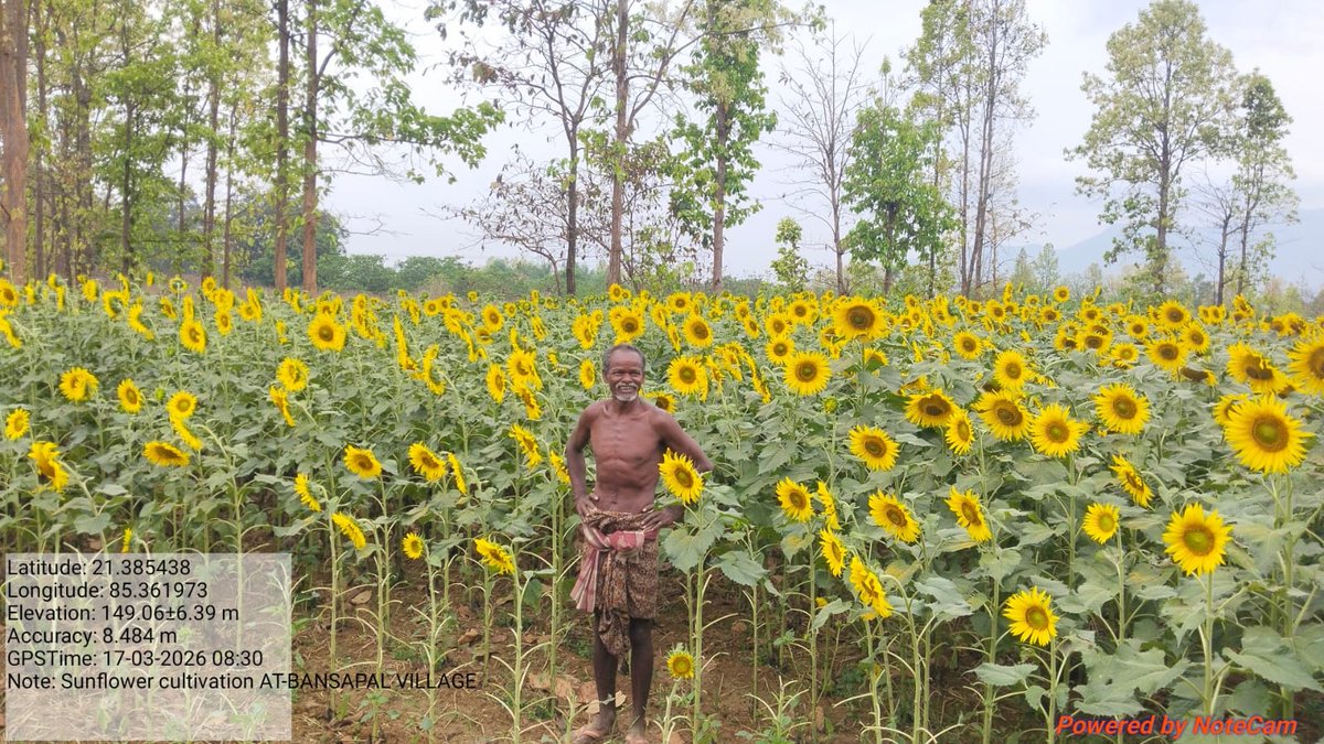 ST & SC Development Department tweet media